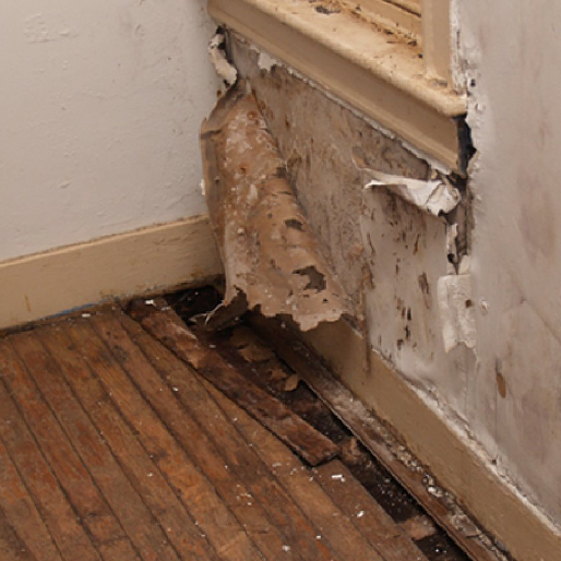 Dégâts humidité mur intérieur – expertise bâtiment Ardèche
