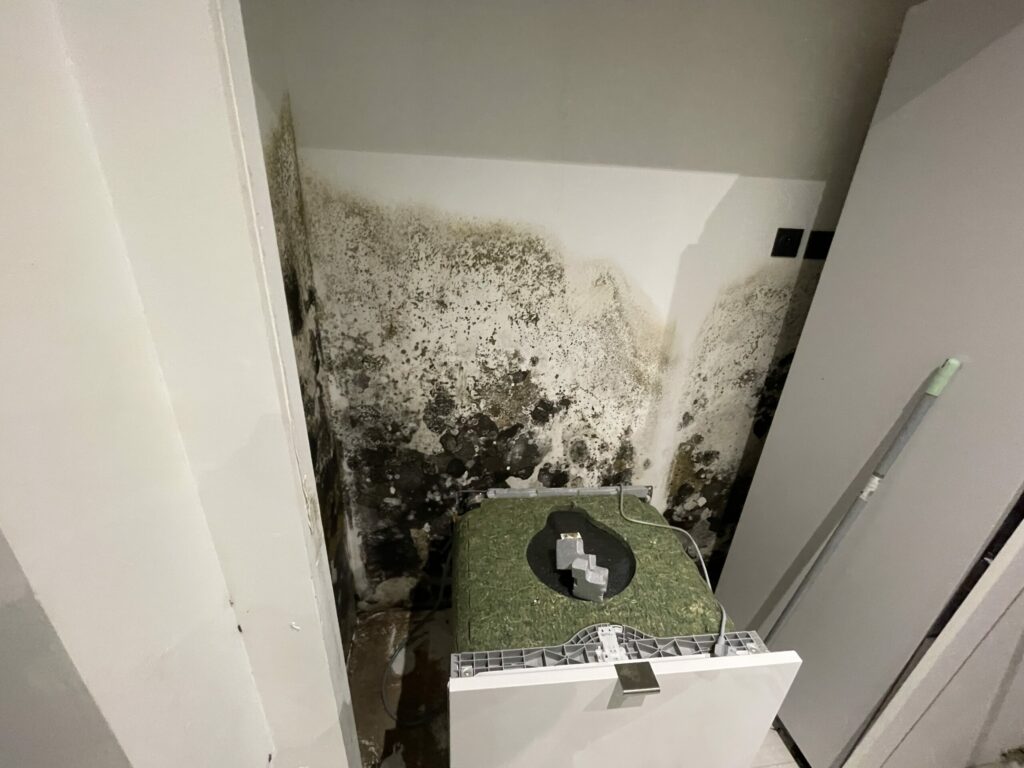 Moisissures importantes dans coin de mur